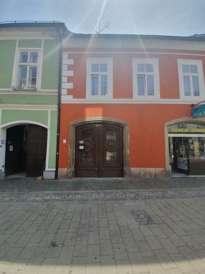 Minidorm Rooms In Heart Of City Center Марібор Екстер'єр фото